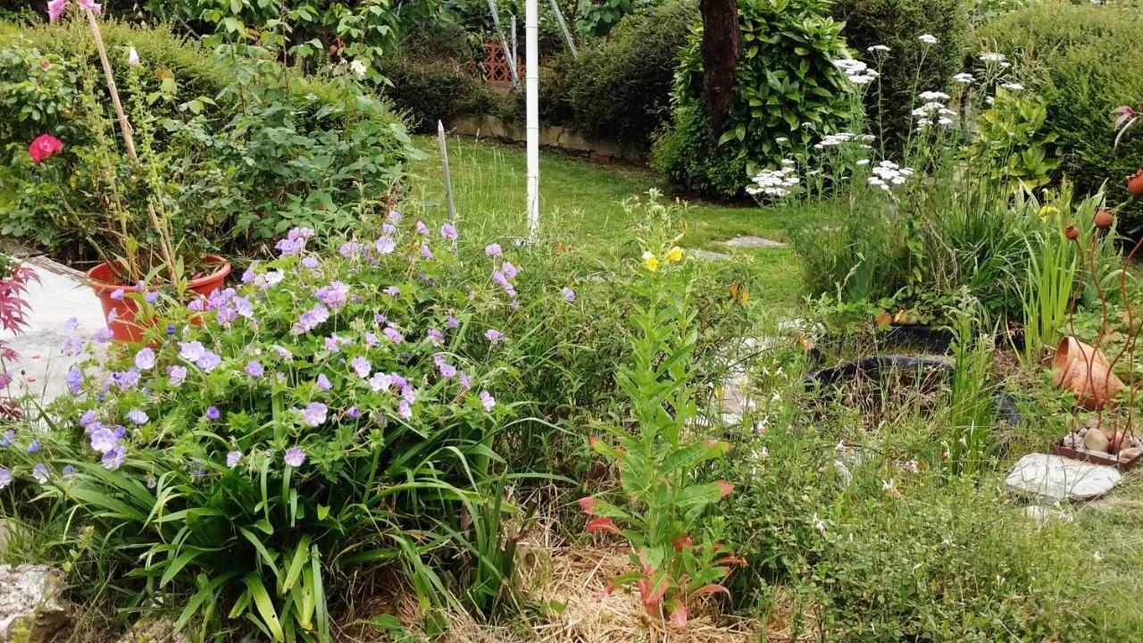 Appartamento Hillside View Plentzia Esterno foto