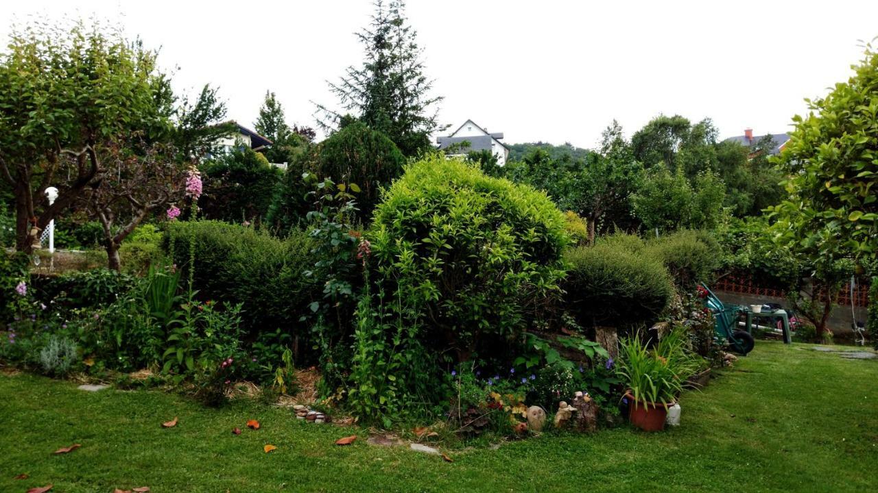 Appartamento Hillside View Plentzia Esterno foto